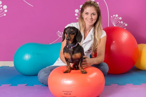 Centro de reabilitação de animais