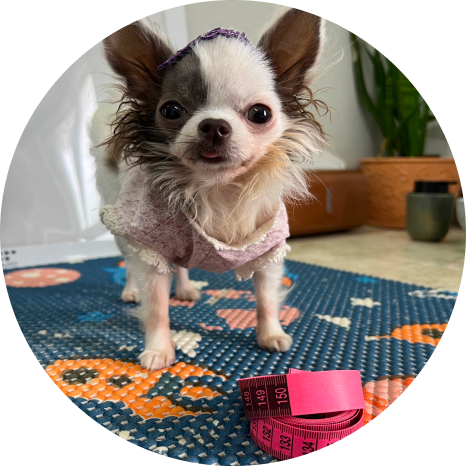Nutrição Veterinária